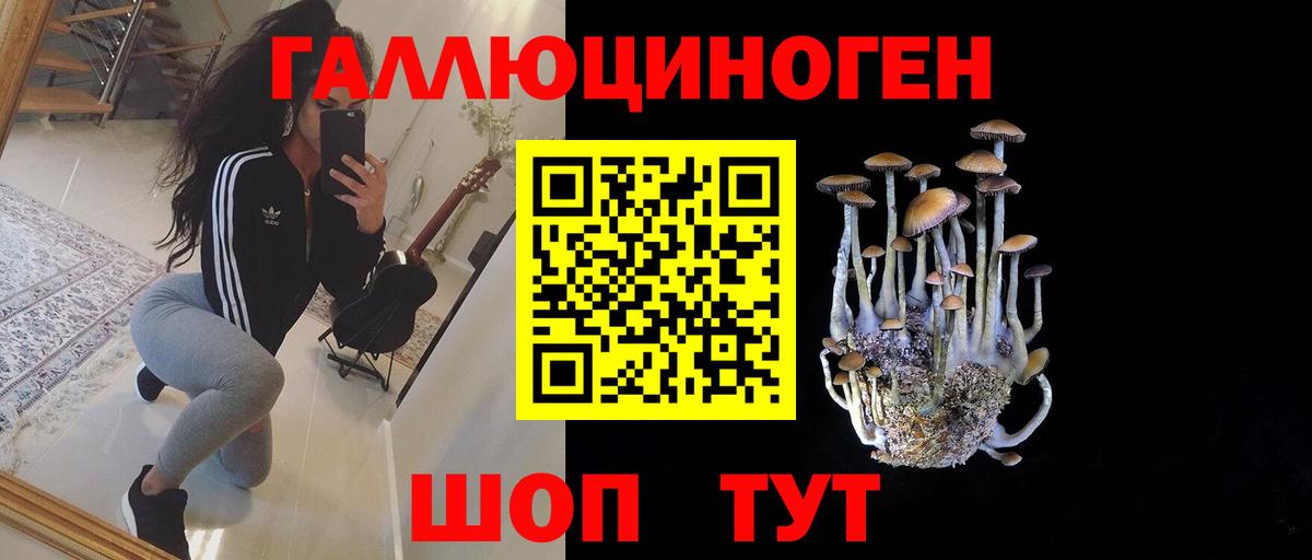 Псилоцибиновые грибы GOLDEN TEACHER Кузнецк